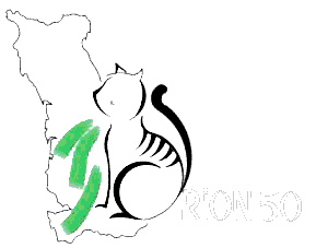 Logo Orion 50